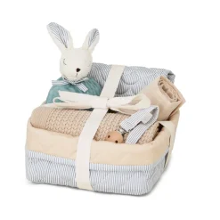 Babyshower Presentkorg Classic Stripes Blue
