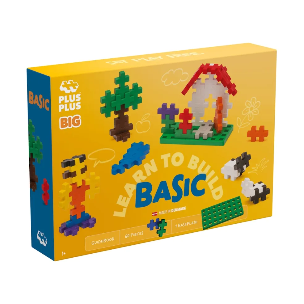 BIG Learn To Build Basic