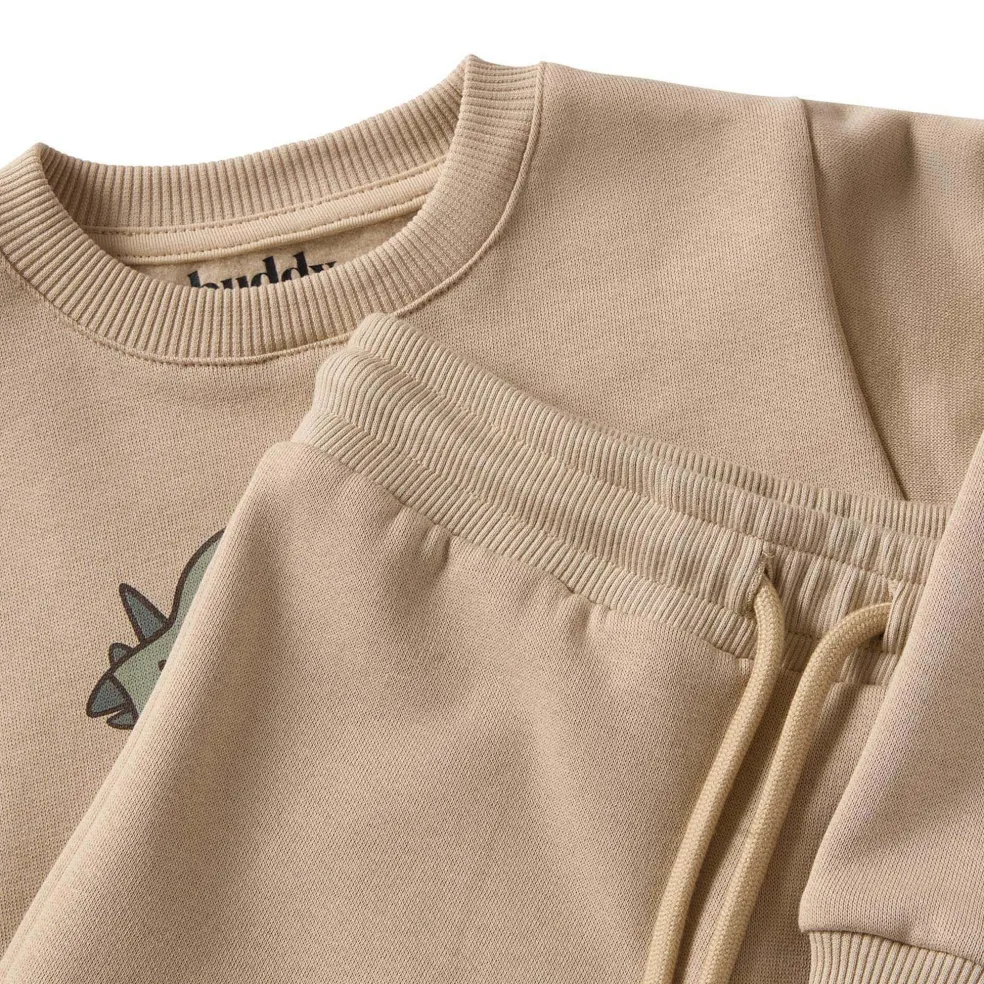 GOTS Martin Sweatshirt Set Green Dino