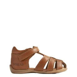Robbie Sandaler Cognac