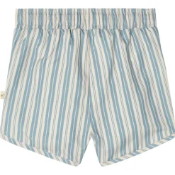 Viktor Badshorts Emil Stripe