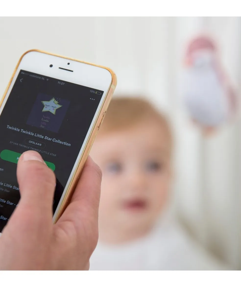 Zoe Music Box Grå