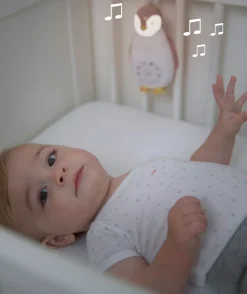 Zoe Music Box Rosa