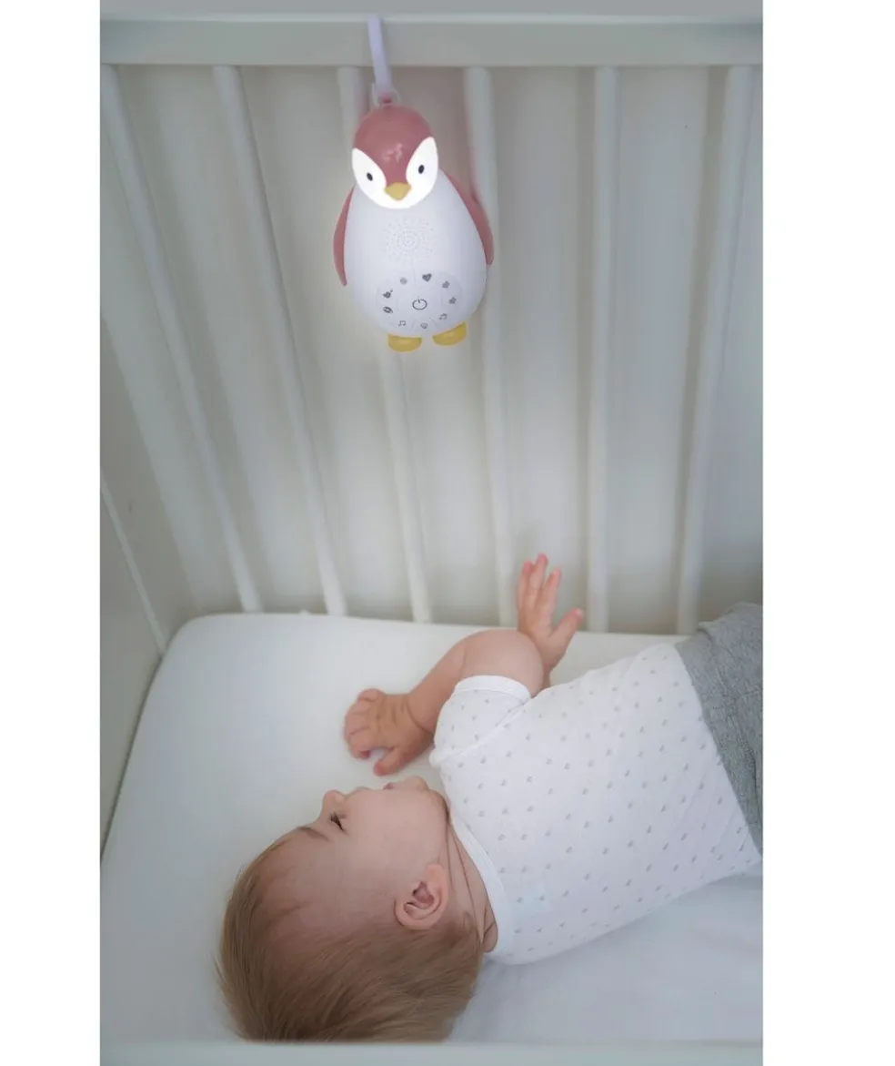 Zoe Music Box Rosa
